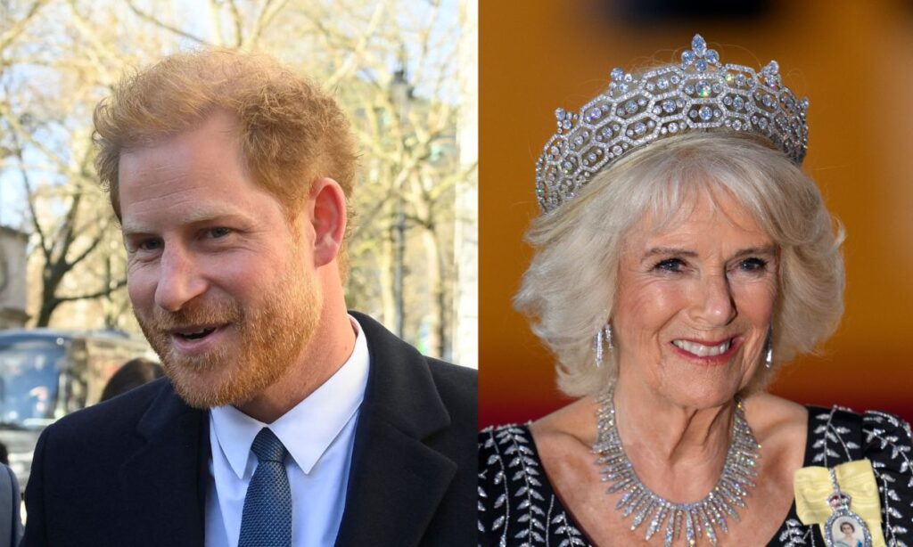 Prince Harry comments against Camilla Parker ahead of his arrival in the United Kingdom