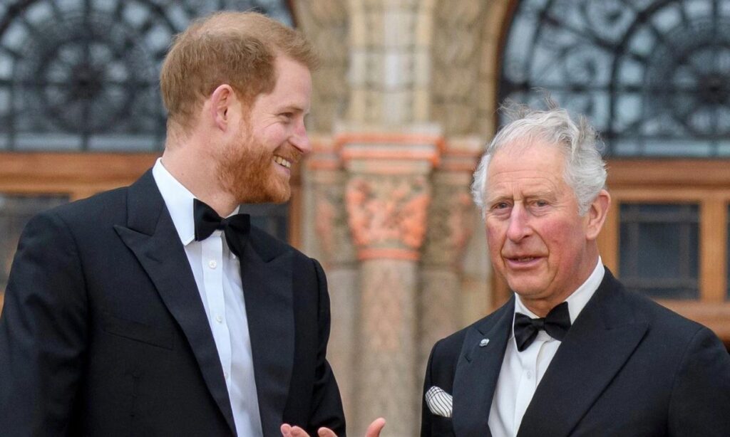 Prince Harry mocked for being naive in believing that King Charles will seek for him