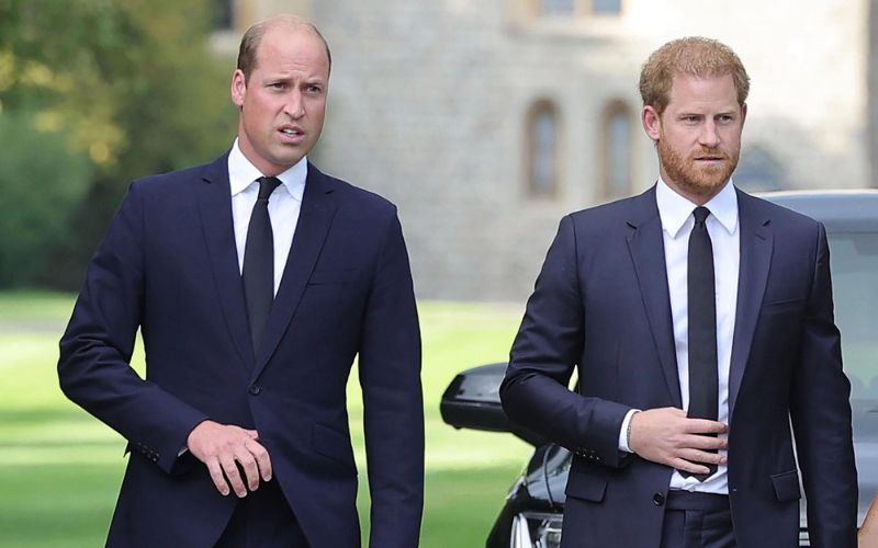 Prince William completely ignored Prince Harry during his visit to the United Kingdom