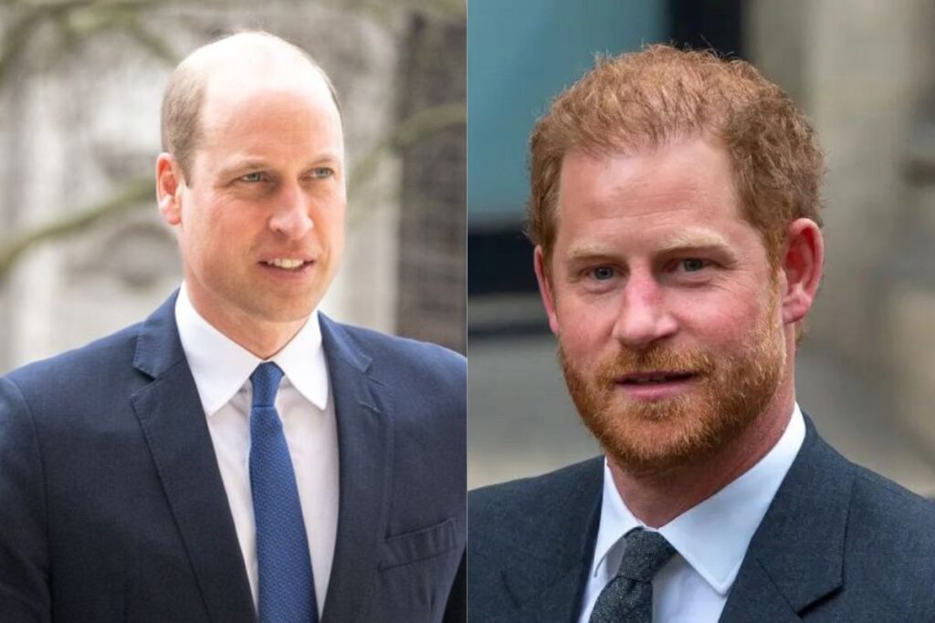 Prince William completely ignored Prince Harry during his visit to the United Kingdom