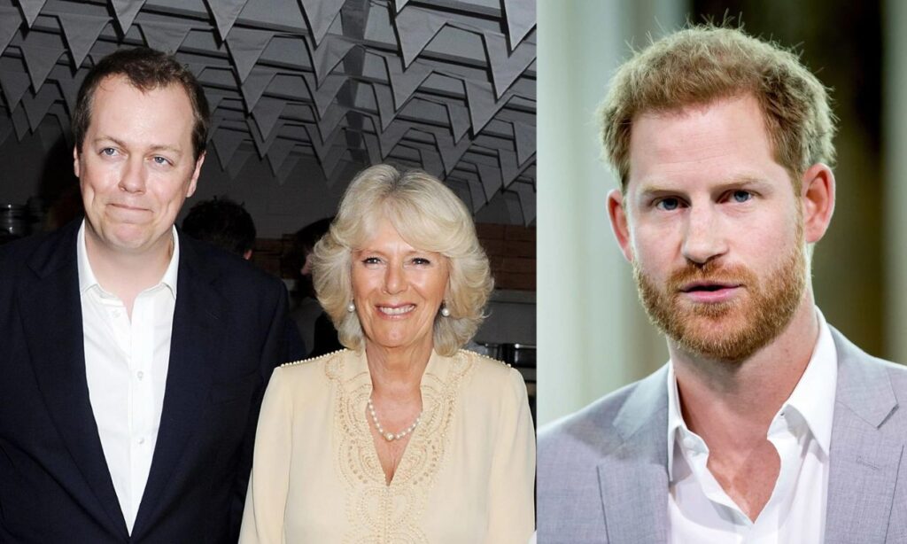 Queen Consort Camilla Parker seeks to give Prince Harry's royal role to her son