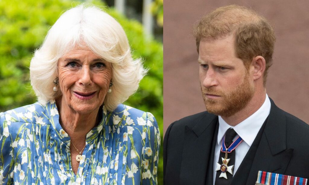 The complicated relationship between Camilla Parker and Prince Harry