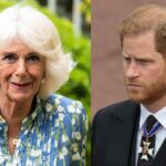 The complicated relationship between Camilla Parker and Prince Harry