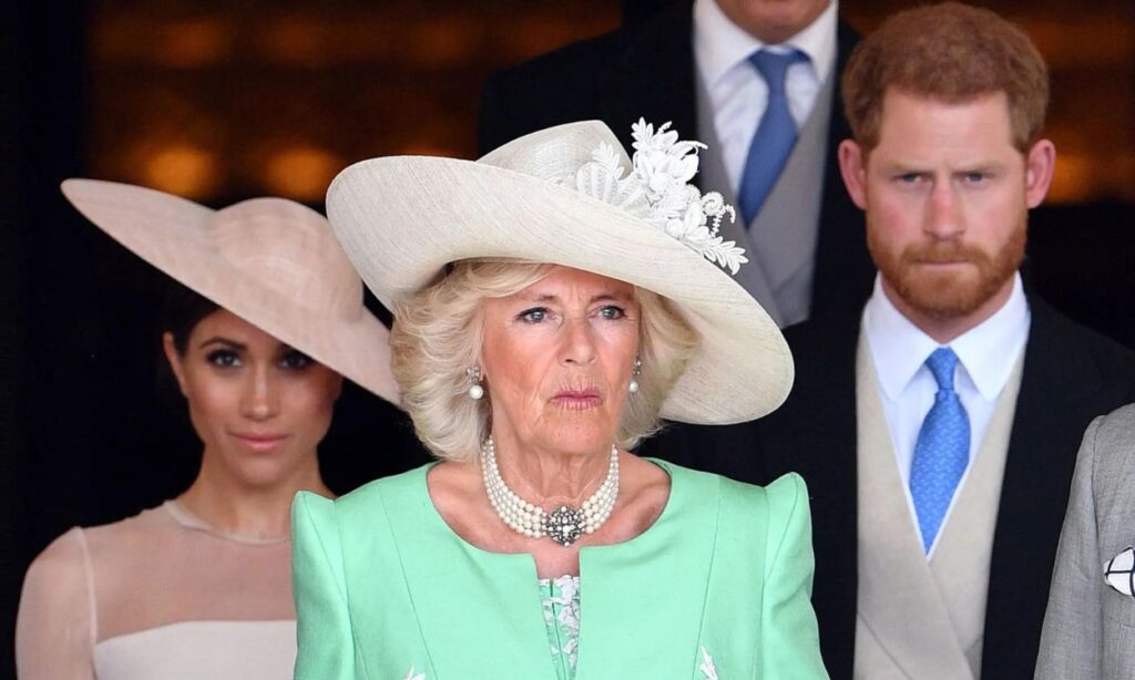 The evil plan of Camilla Parker to replace Meghan Markle and Prince Harry