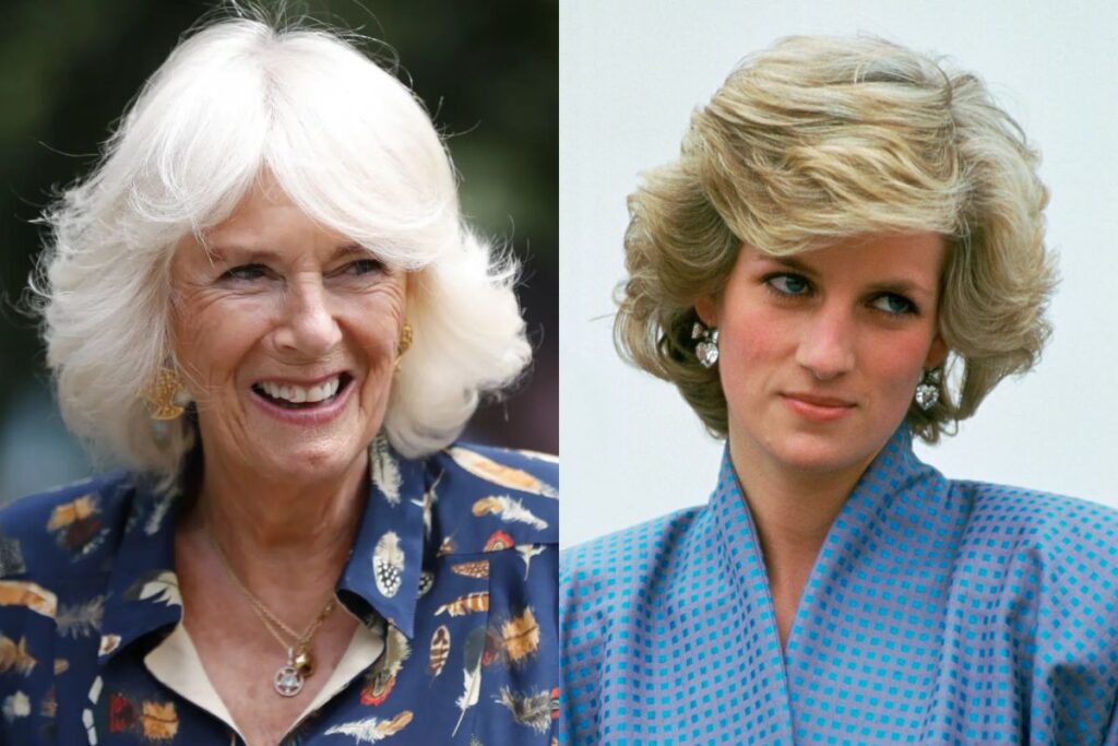 This is how Camilla Parker's dark plan to get to the throne of the royal family and kill Lady Di began