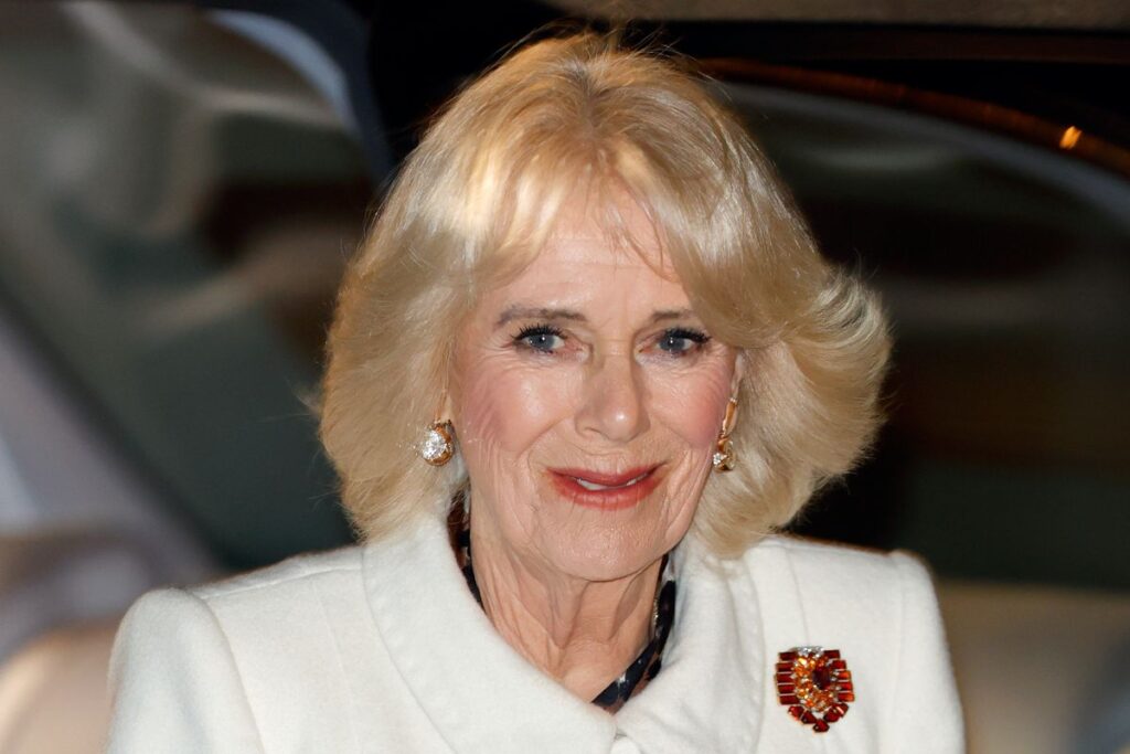 Camilla Parker gets sullied by royal followers on social media