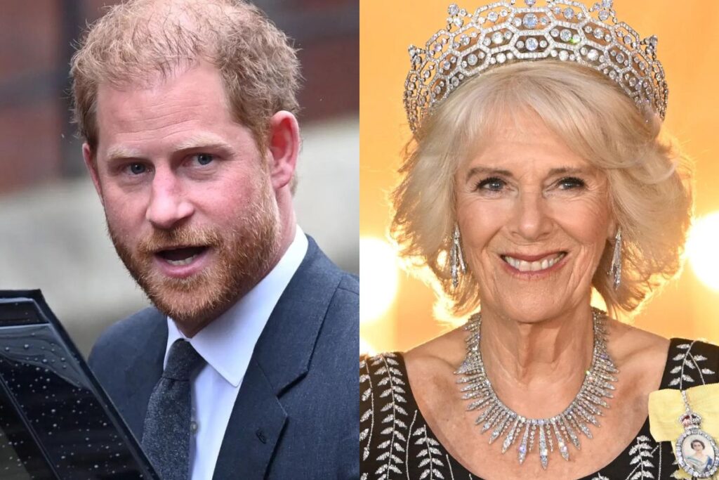 Camilla Parker is ready to take revenge on Prince Harry and she might get away with it
