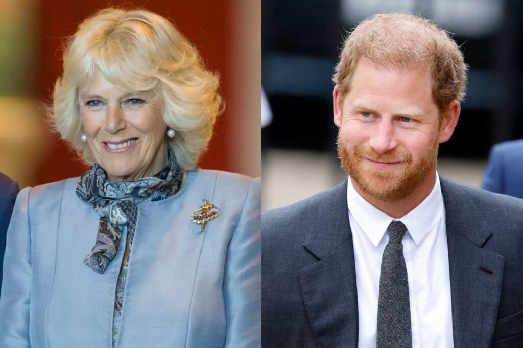 Camilla Parker speaks out for the first time about attacks on her by Prince Harry