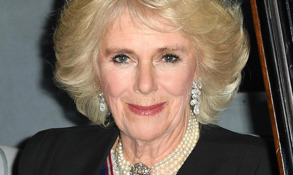 Camilla Parker underwent plastic surgery ahead of her coronation as the new Queen of England