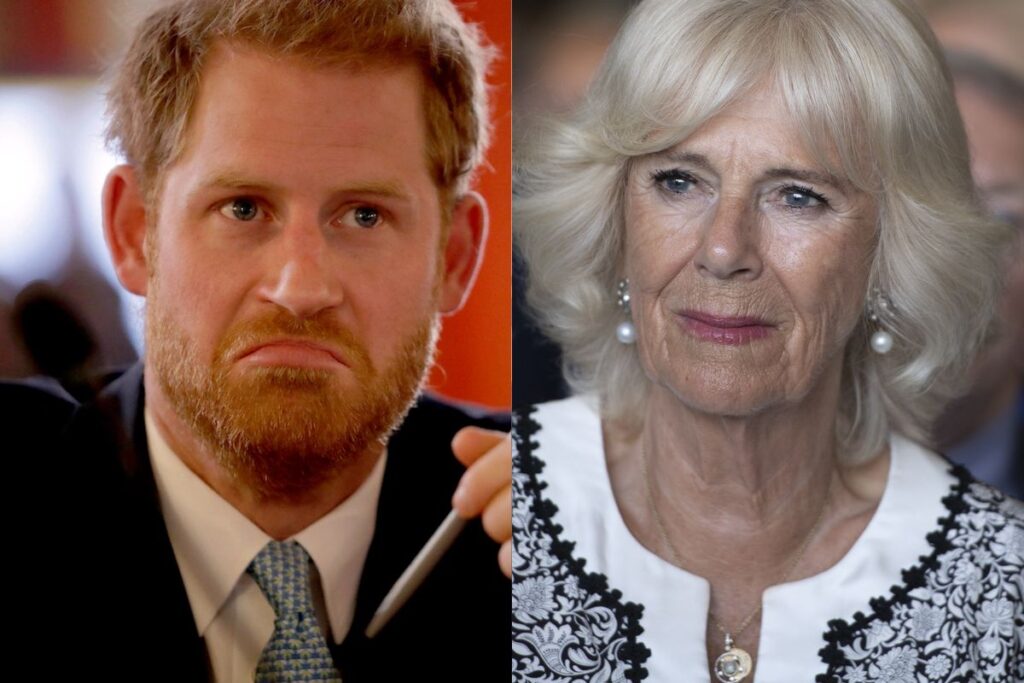 Camilla Parker was the one who leaked dark secrets about Prince William