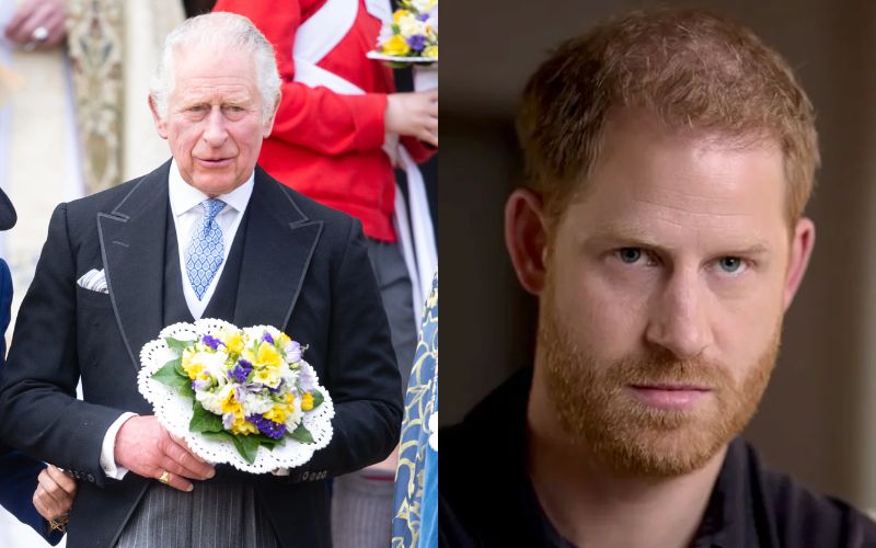 King Charles III would have asked Prince Harry to distance himself from Meghan Markle