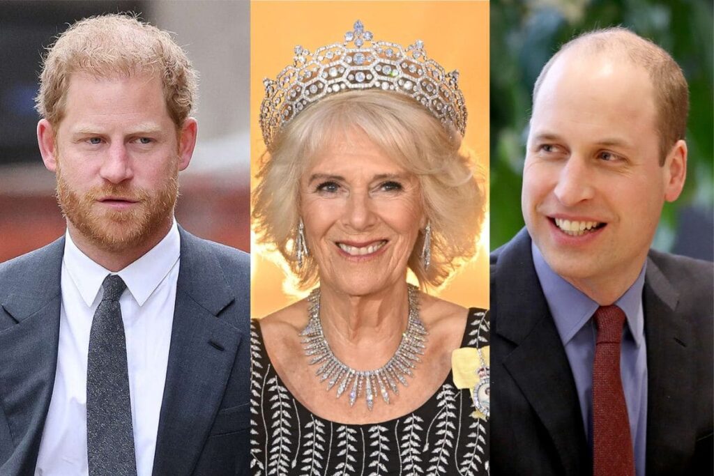 Prince Harry and Prince William will do anything to make Camilla Parker abdicate from throne