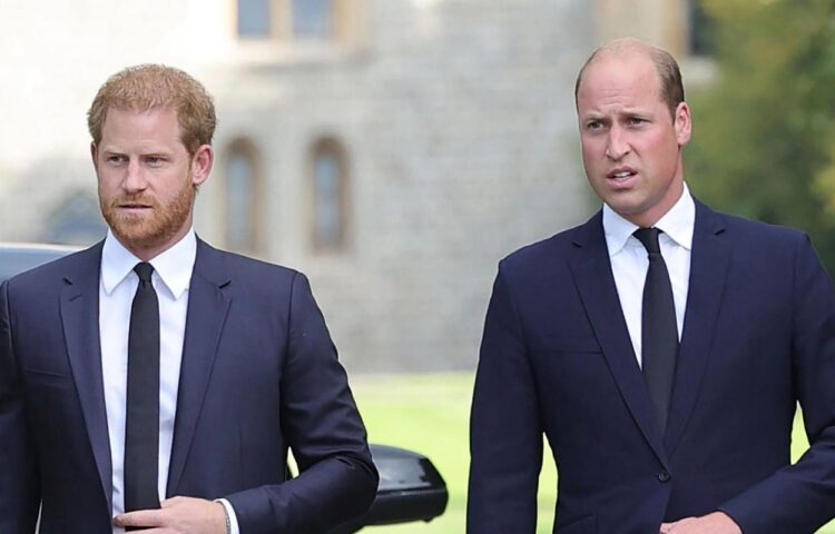 Prince William exploded and hit Prince Harry; left him with bruises and ...