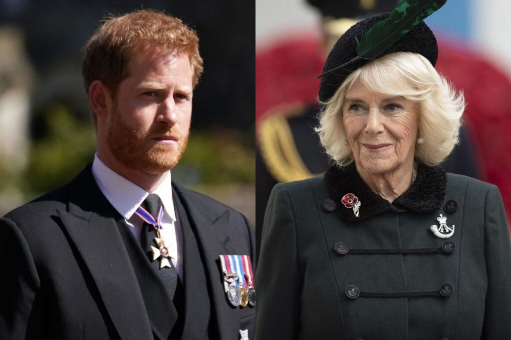 Prince Harry confirms that Camilla Parker is a diabolical woman