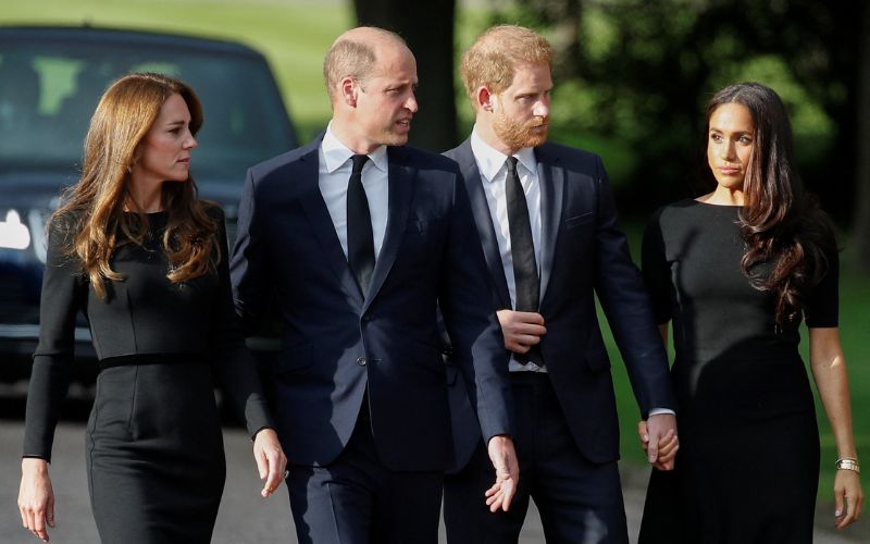 Prince Harry shouldn't have married Meghan Markle for this reason