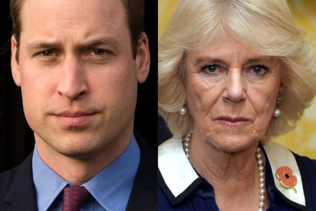 Prince William and Camilla Parker are fighting over the control of Buckingham Palace