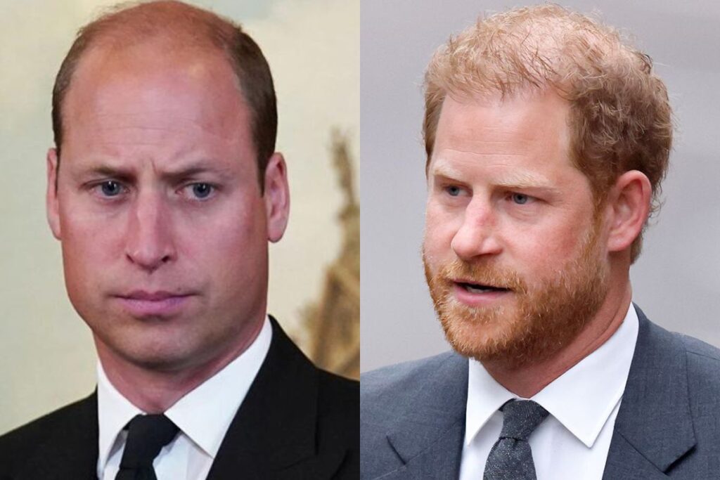 Prince William’s evil plan to silence Prince Harry is leaked