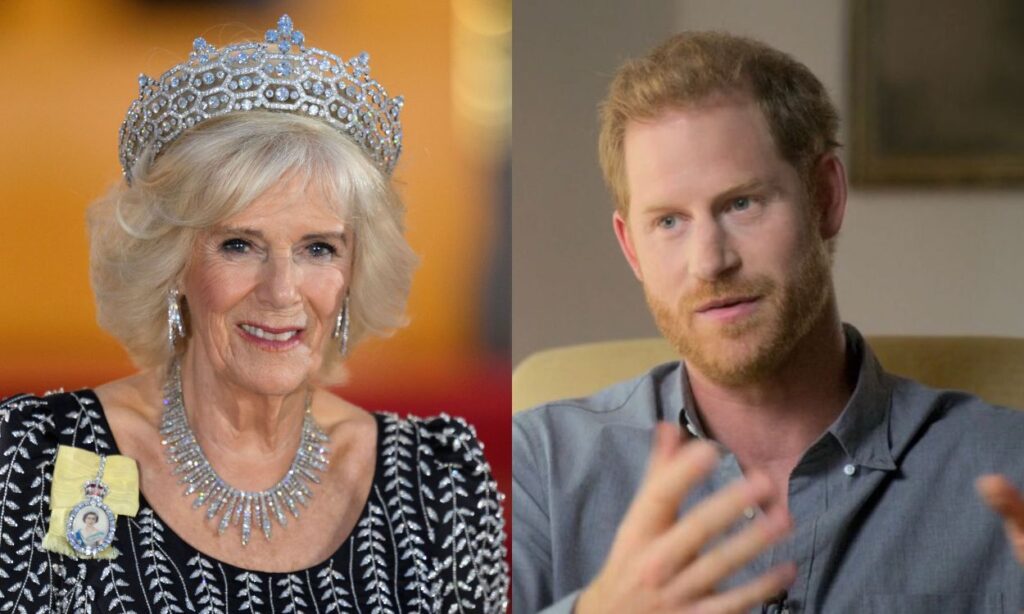 Queen Camilla Parker makes deals with the devil to get what she wants, Prince Harry says