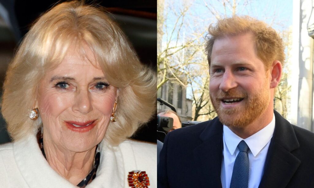 Queen Camilla Parker reacts to Prince Harry's negative statements