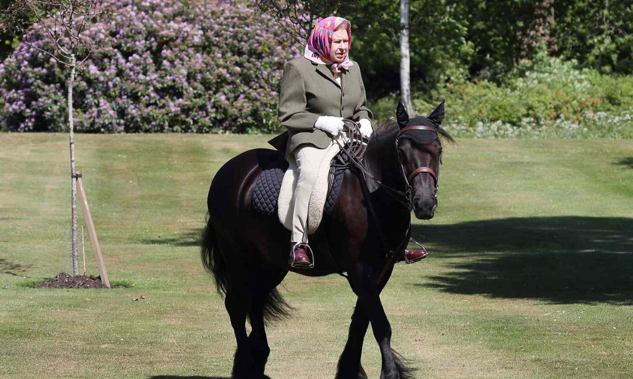 Queen consort Camilla Parker admits she is too old to continue her duties