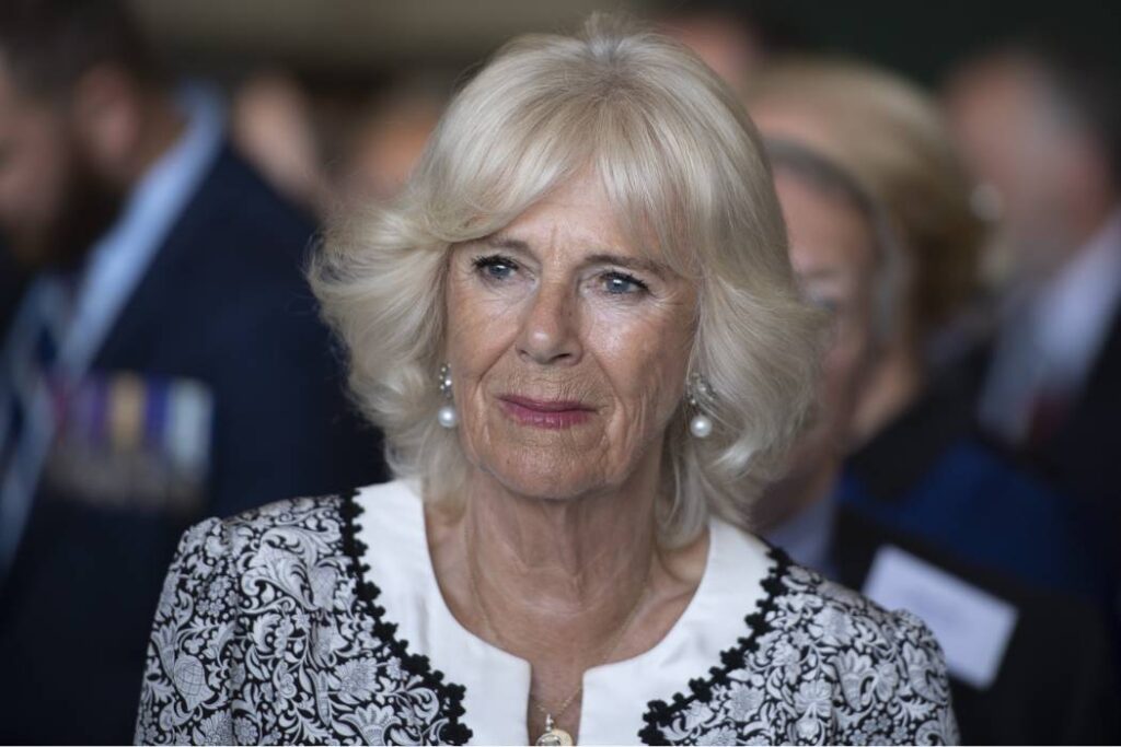 This is the fortune that Queen Consort Camilla Parker spent on her surgeries for the coronation
