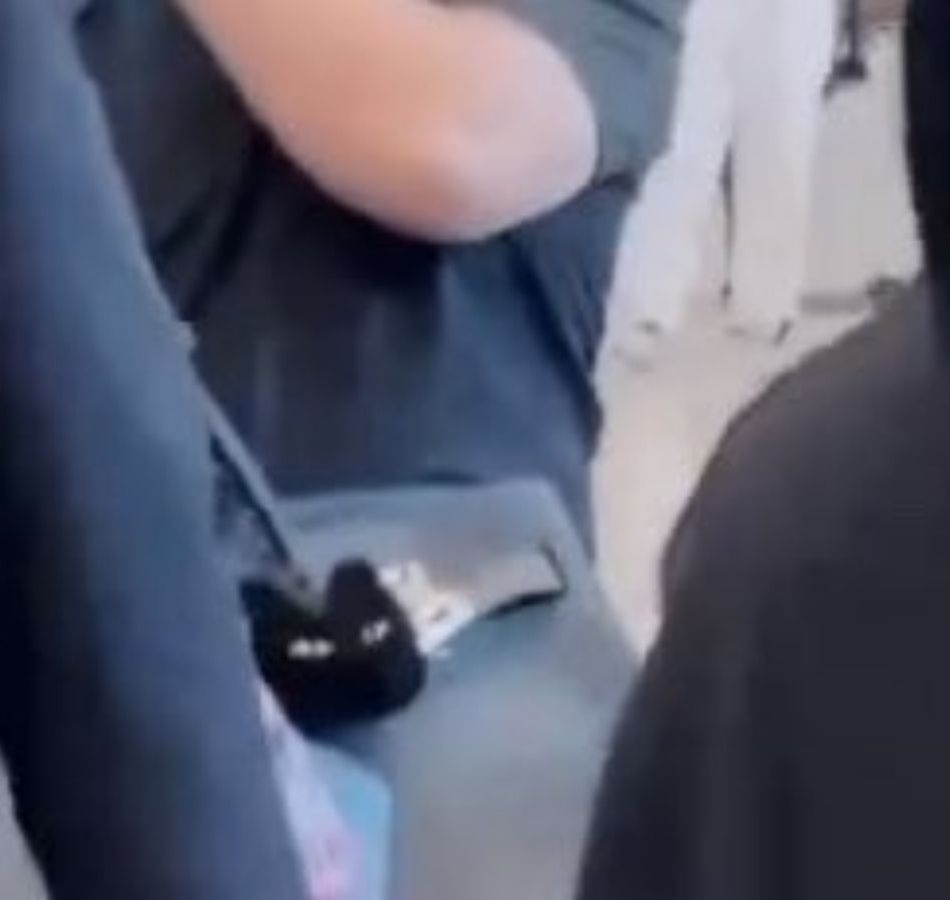 BTS' Suga again in rumors of having bought a pet