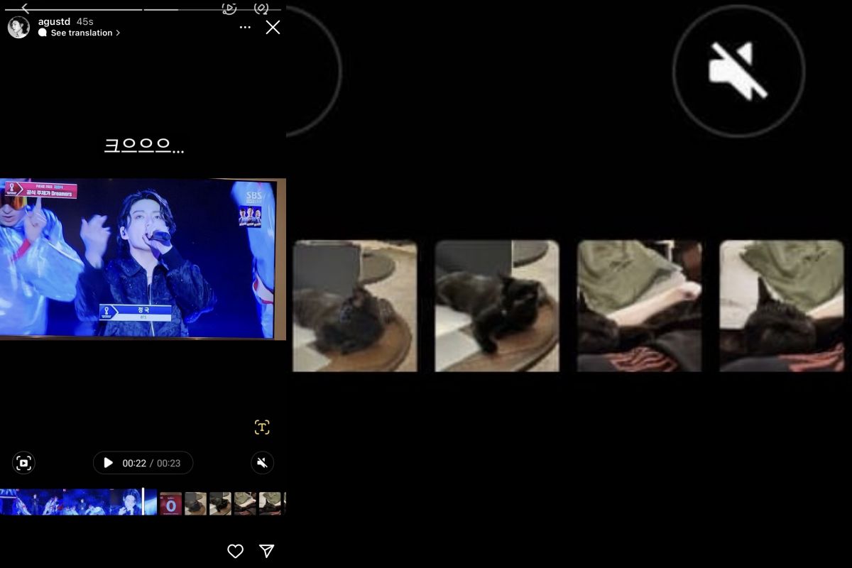 BTS' Suga again in rumors of having bought a pet