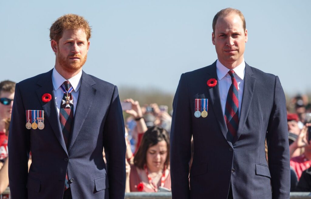 Photo of Prince Harry and Prince William beating each other up performed with stuntmen