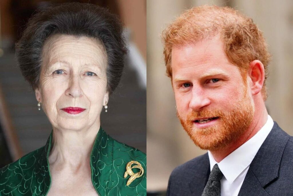 Prince Harry has a strong relationship with Princess Anne and he might be her favorite nephew