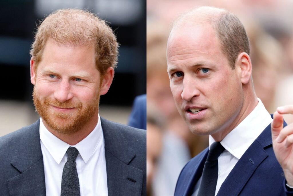 Prince Harry reveals he was conceived as a replacement for Prince William in case something happened to him