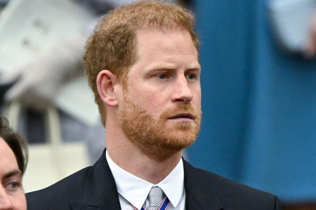 Some members of the royal family do not understand why Prince Harry attended the coronation ceremony