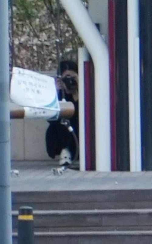 The petrifying moment that the SEVENTEEN members lived because of a stalker