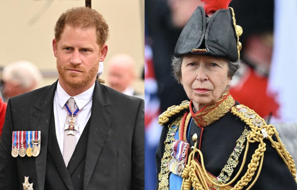 The sweet moment Prince Harry had with aunt Princess Anne during King Charles' coronation