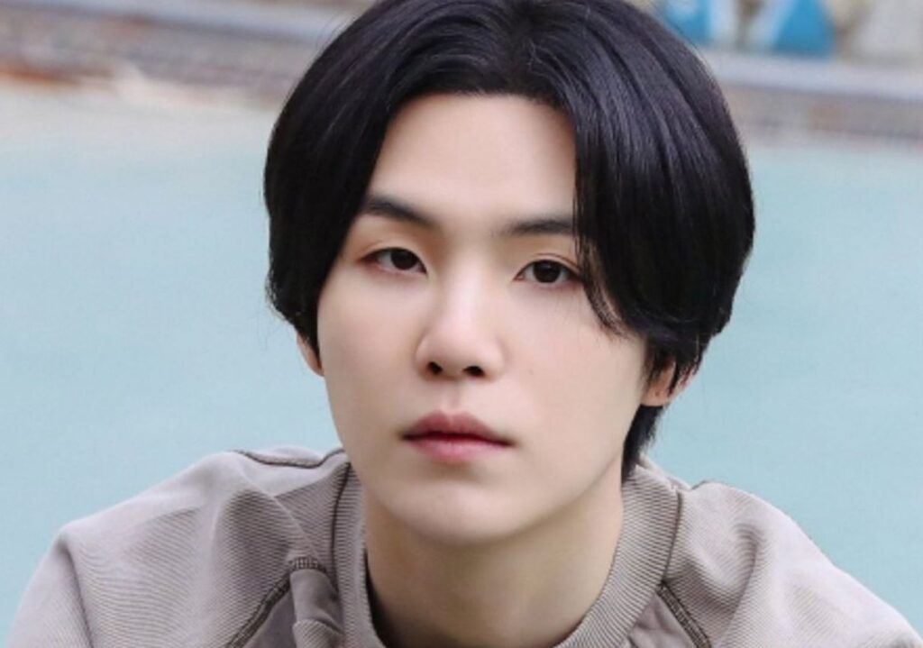 These celebrities did not miss the opportunity to go to the BTS' Suga concert in the United States