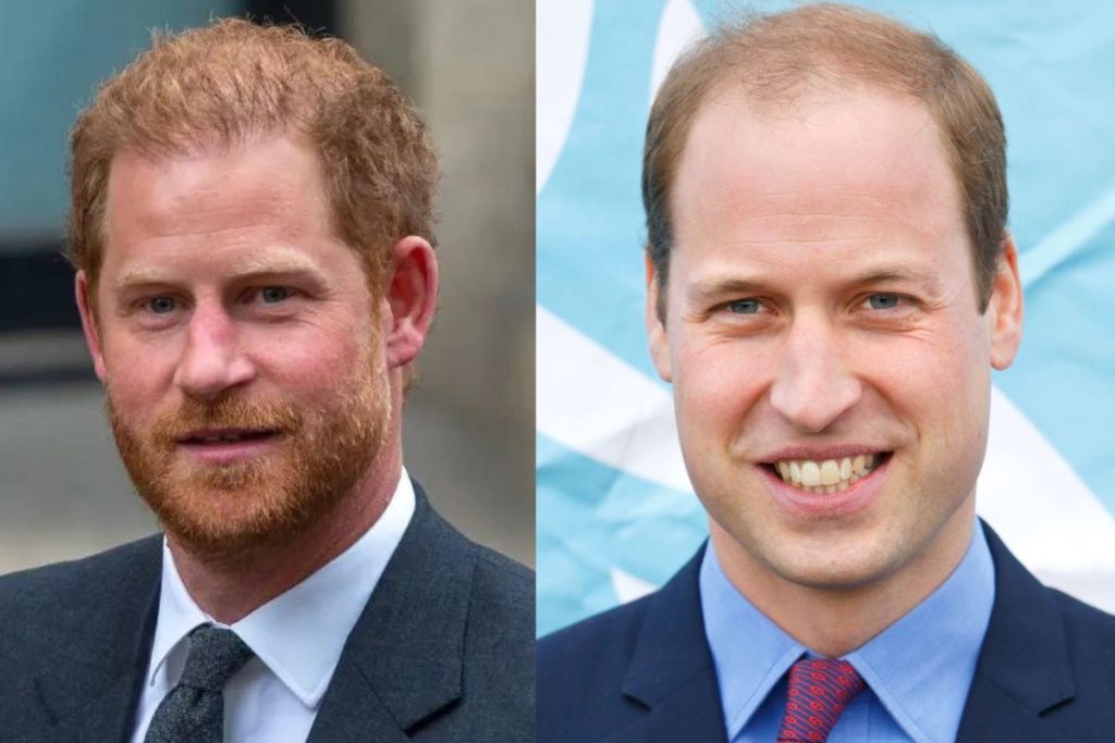 Did Prince Harry completely ignore Prince William’s birthday?