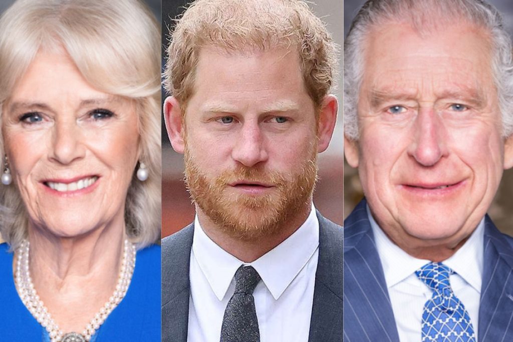 King Charles III may never forgive Prince Harry for insulting Queen Camilla Parker