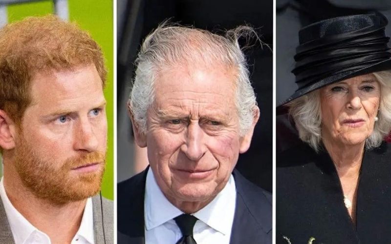 King Charles III may never forgive Prince Harry for insulting Queen Camilla Parker