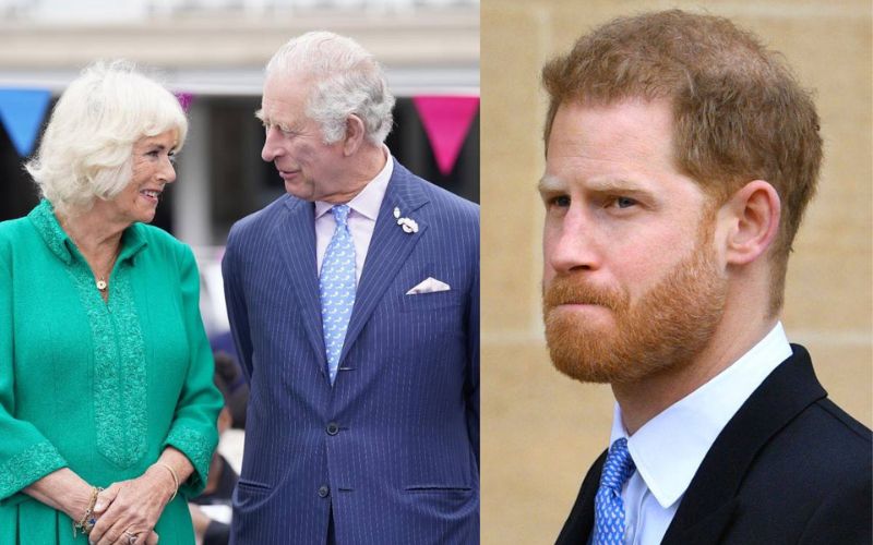 King Charles III may never forgive Prince Harry for insulting Queen Camilla Parker