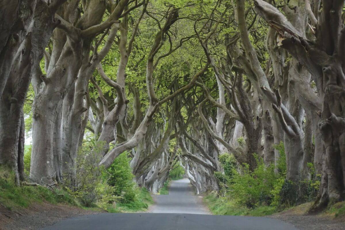 The places where 'Game Of Thrones' was filmed and that fans can visit without any problem The places where 'Game Of Thrones' was filmed and that fans can visit without any problem