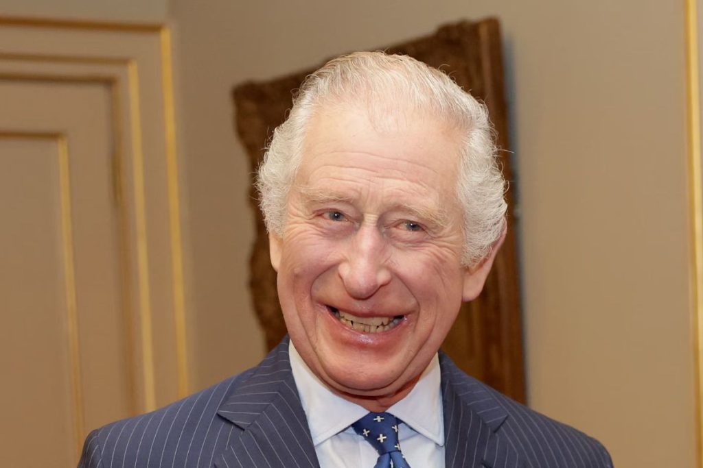 A little girl's heartwarming reaction to meeting King Charles III