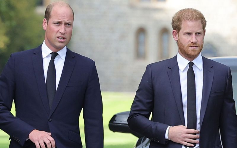 Princess Diana; the only person who could end Prince William and Prince Harry’s feud