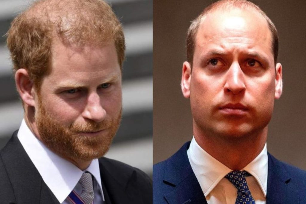 Prince William is in the United States, Will he meet Prince Harry?