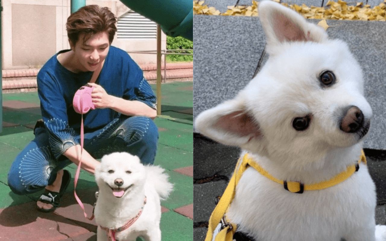 BTS' RM reveals the unfortunate passing of a loved one