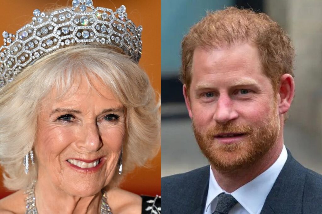Buckingham Palace gives Camilla Parker more prominence after removing Prince Harry