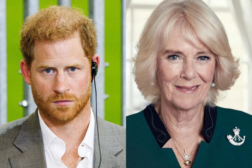 Camilla Parker’s children don’t stand Prince Harry