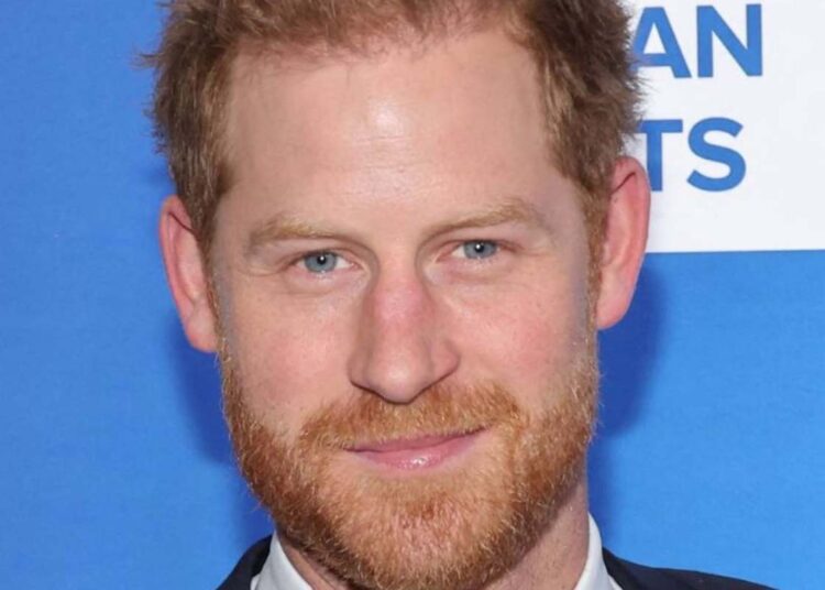 New information on Prince Harry documentary revealed