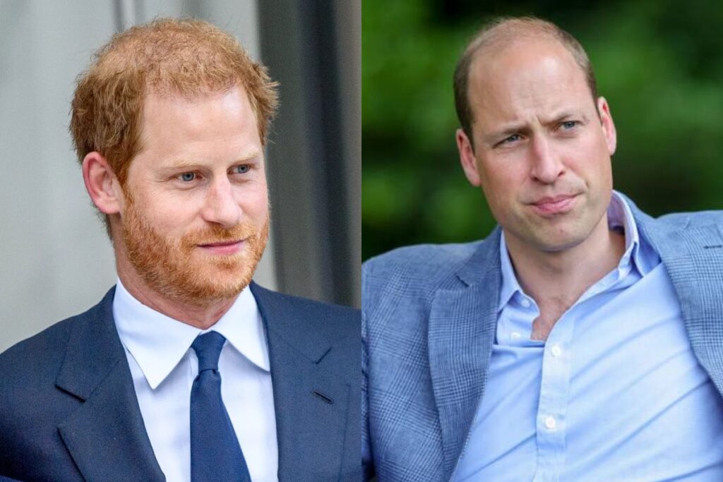 Prince Harry accused of 'photoshopping' his hair after making fun of bald Prince William
