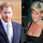 Prince Harry paid emotional tribute to his mother Princess Diana