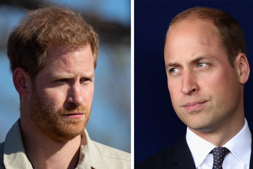 Prince William moved to still want to make the passes with Prince Harry