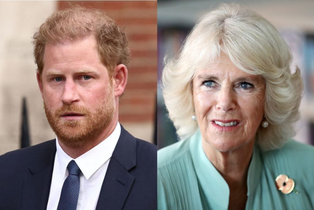 Camilla Parker doesn’t want Prince Harry to come back to the royal family